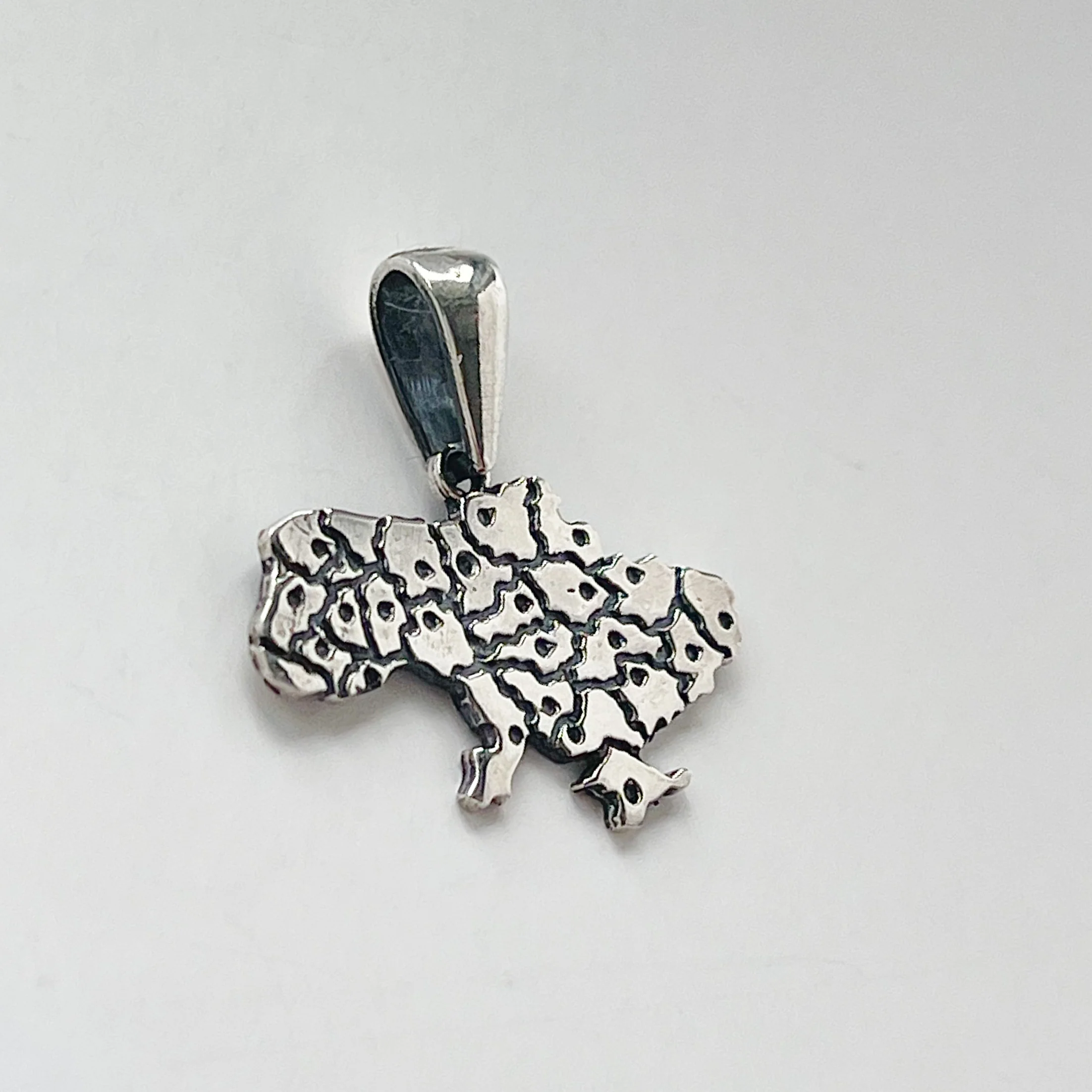 Pendant Map of Ukraine in 925 Sterling Silver